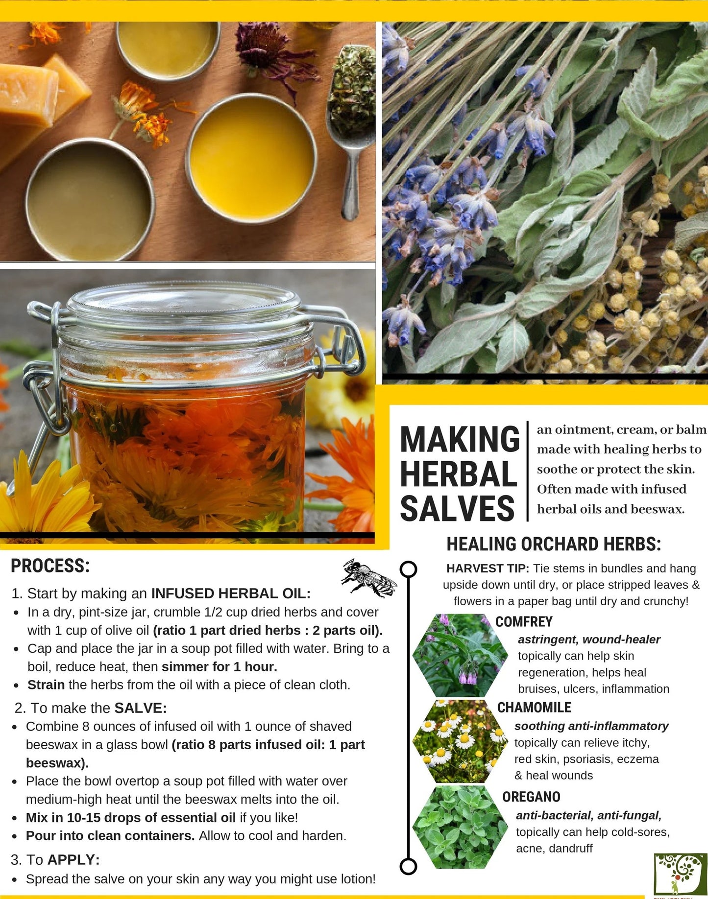 Effective Relief of Joint Pain and Ailments | Comfrey Natural Herbal Salve (4 oz)